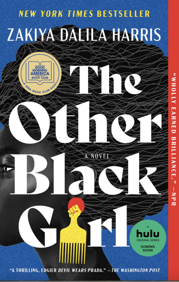 Cover image of The Other Black Girl.